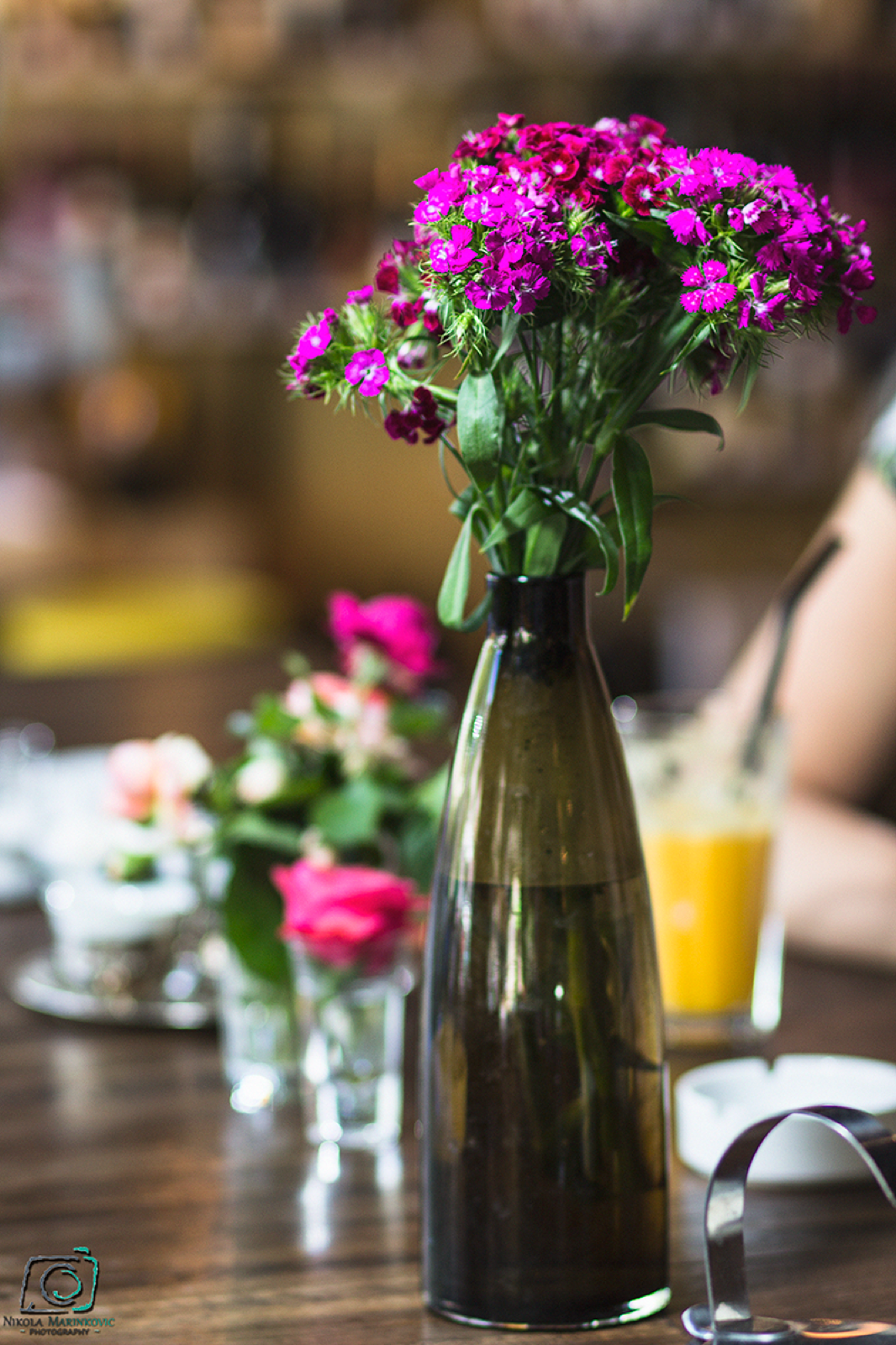 Lena Kovačević — detalj