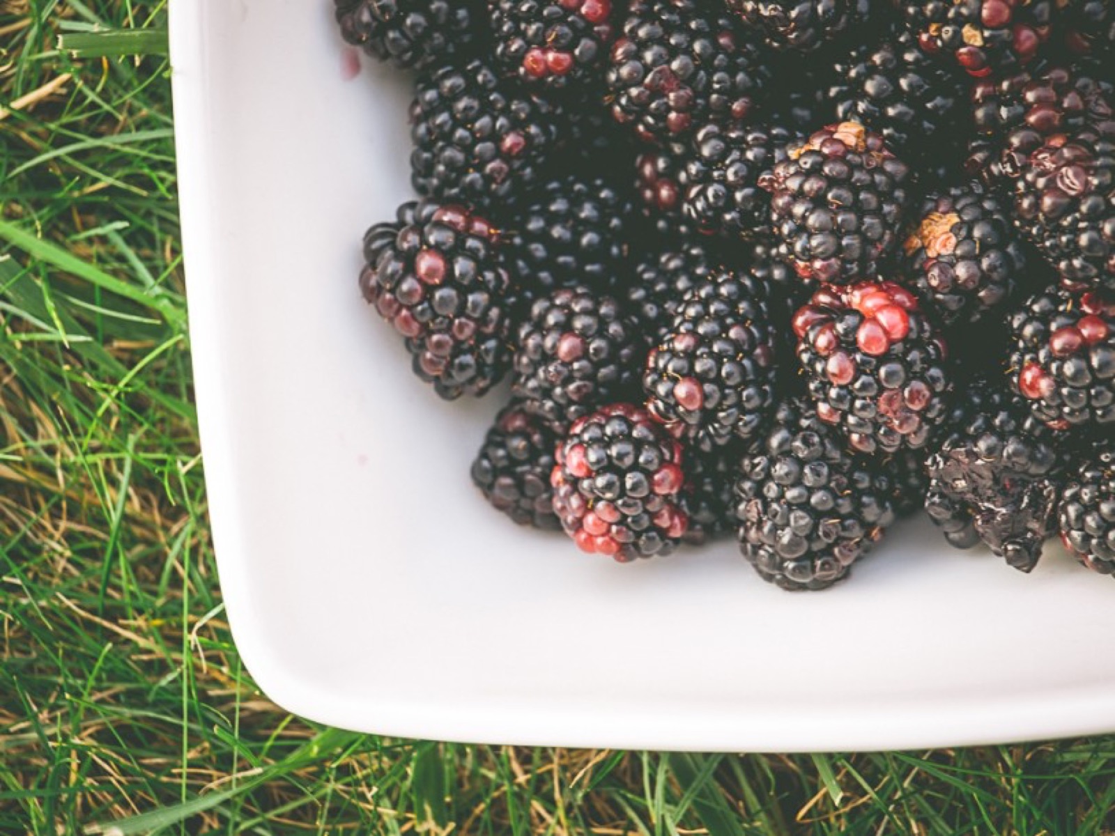 Sveže ubrano letnje voće — kupine i jagode