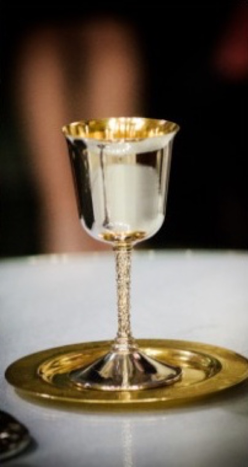 Milica i Nikola tokom ceremonije