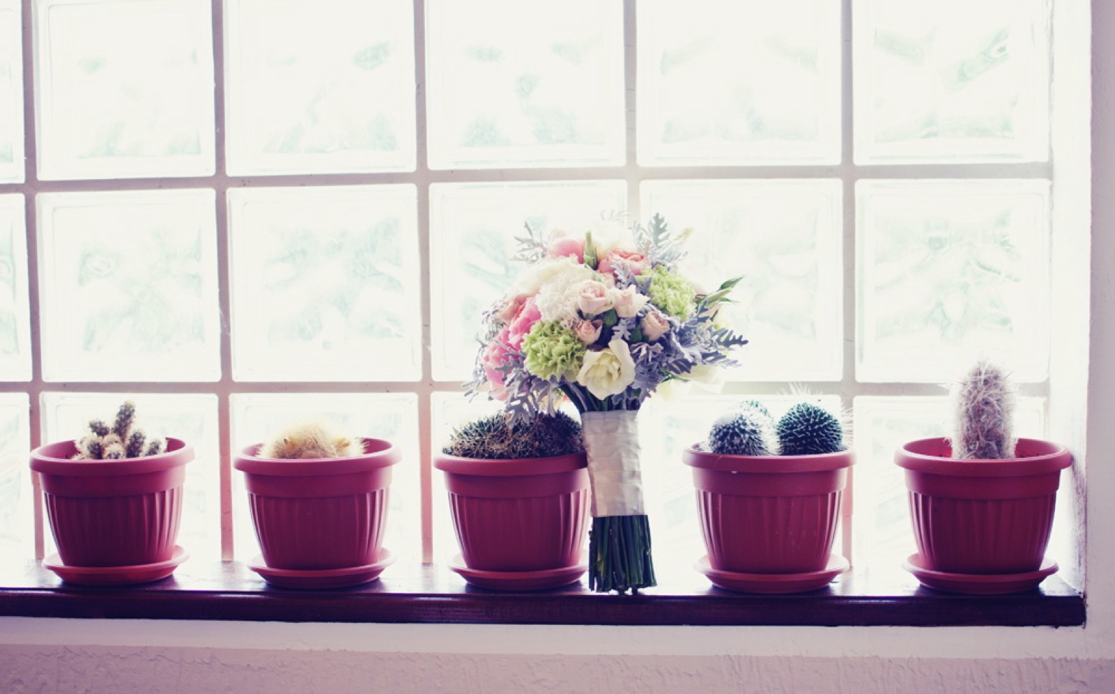 Jovana Tomašević fotografija venčanja