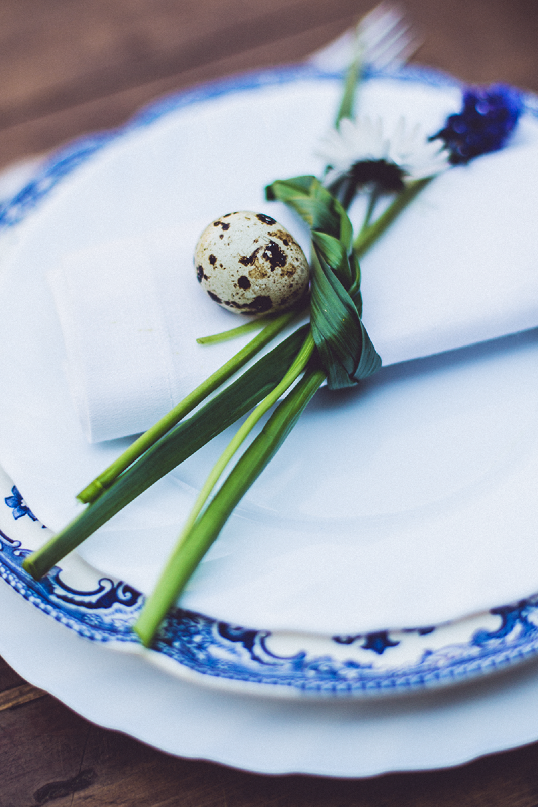 Žuta jajca — mala sunca