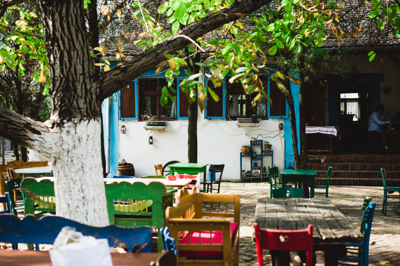 Salaš 137 — okruženje