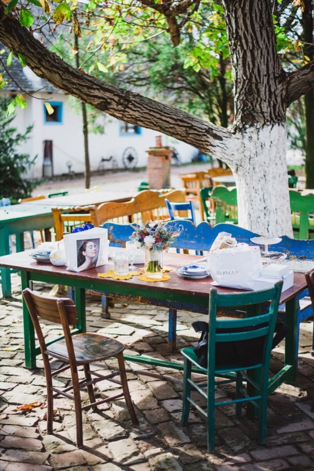 Salaš 137 — ulaz i drvored