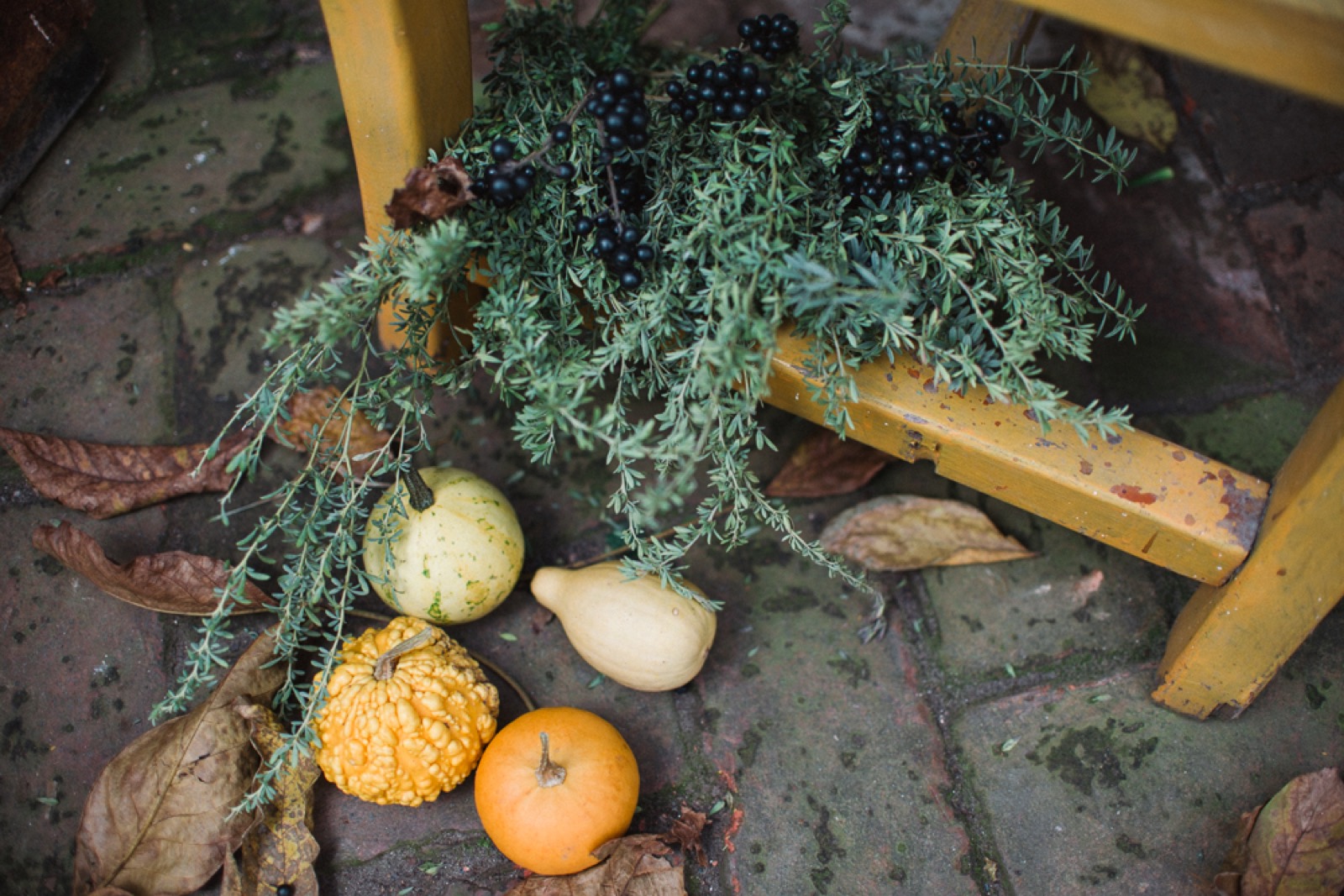 Detalji kraja dana — salaš