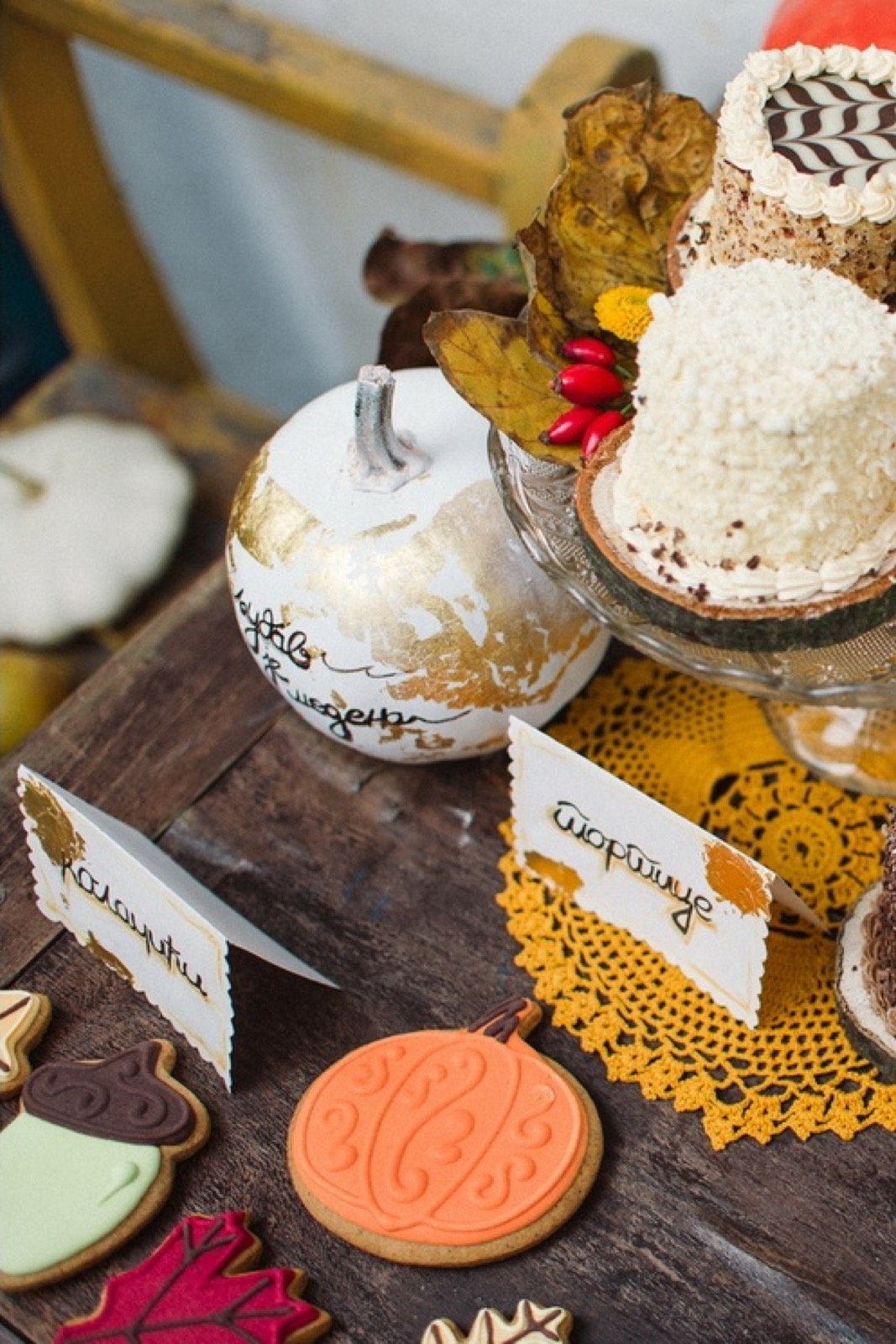 Detalji nakita i kožne jaše sa krznom