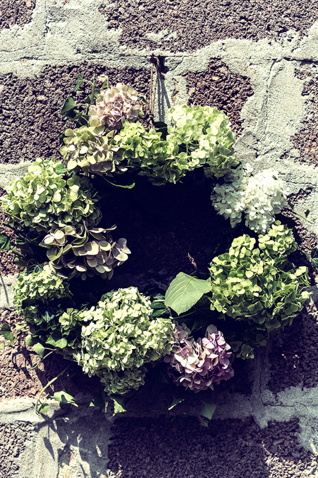 Detalj venčića — hortenzija i bršljan