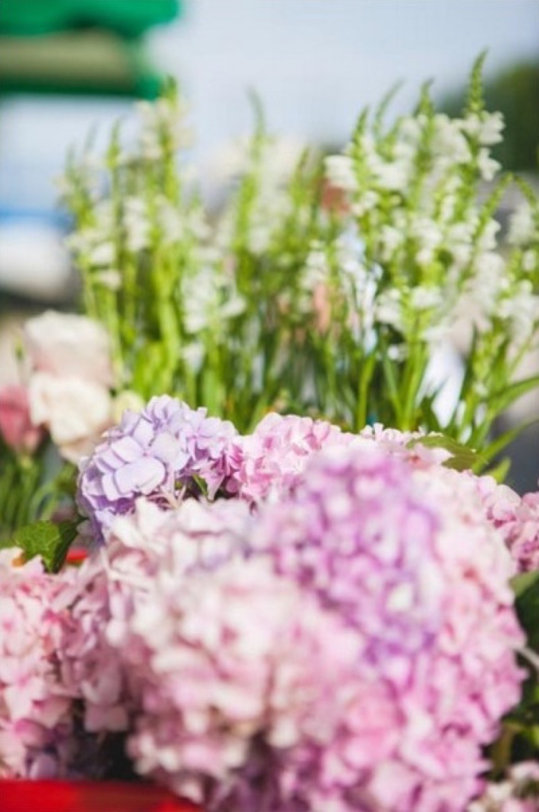 Nadalice slažu cveće