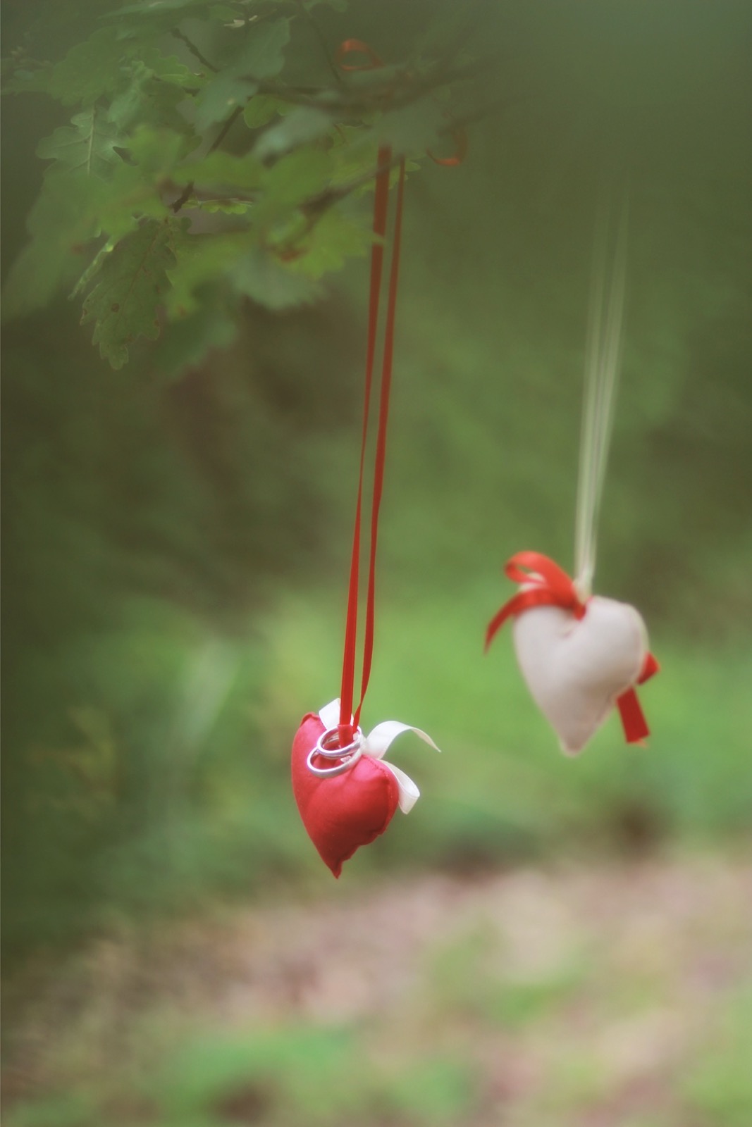 Paspartu photography