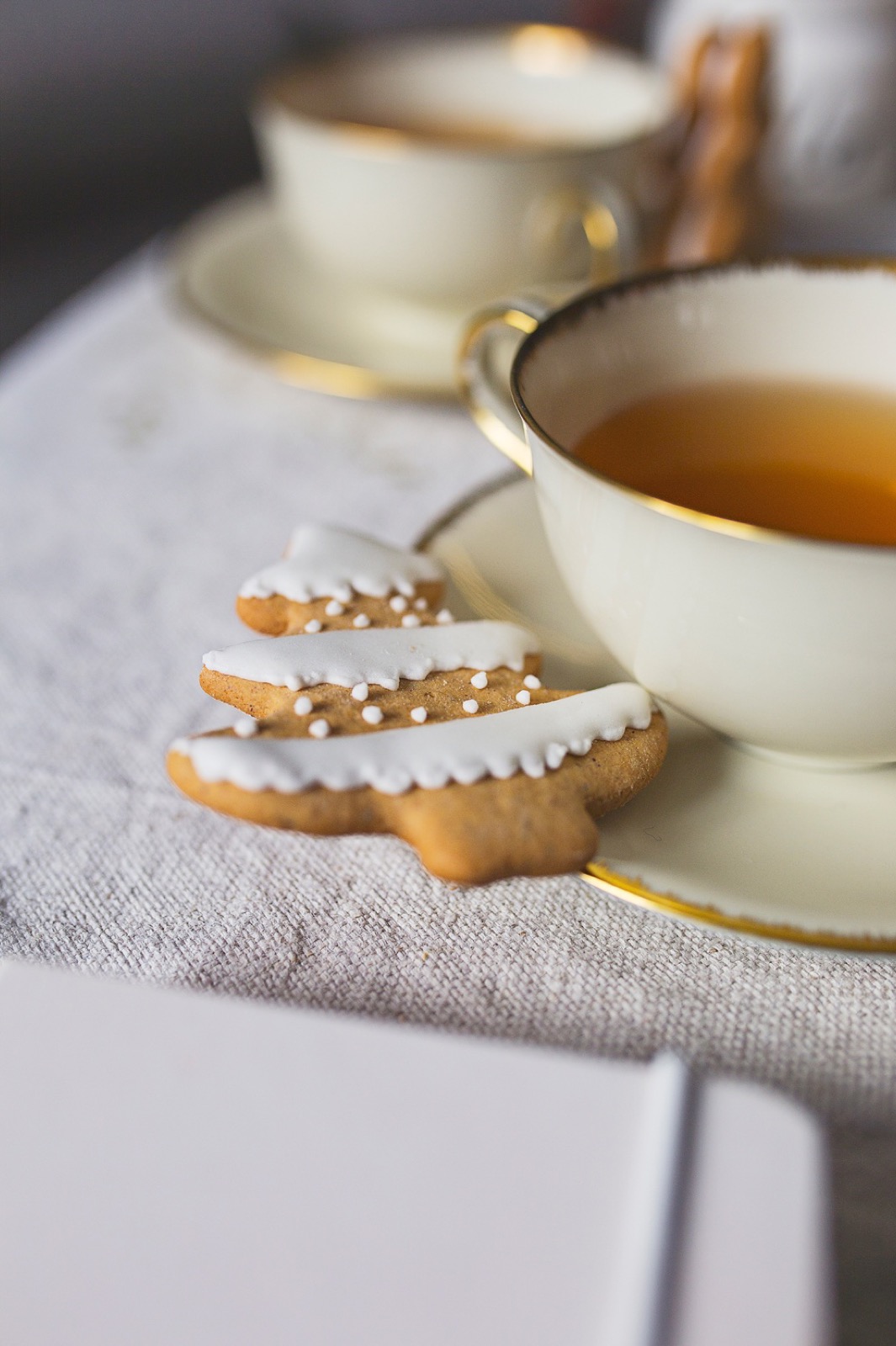 Milika blokče — prednja korica sa zimskim dizajnom