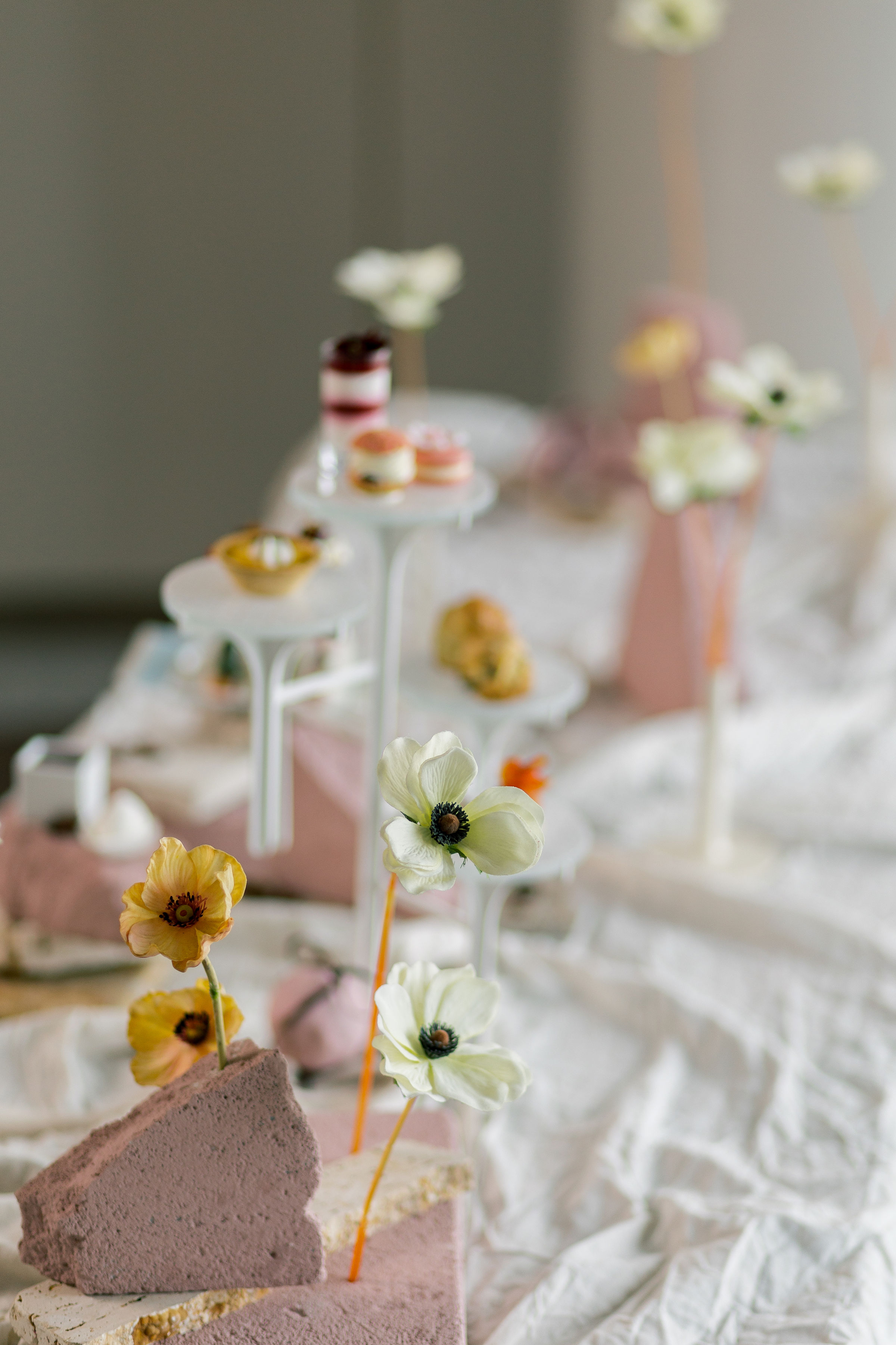 Masterclass programi