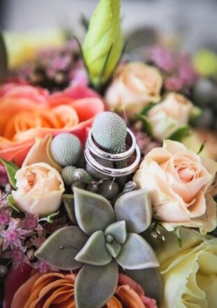 Nataša i Goran — zabava na venčanju