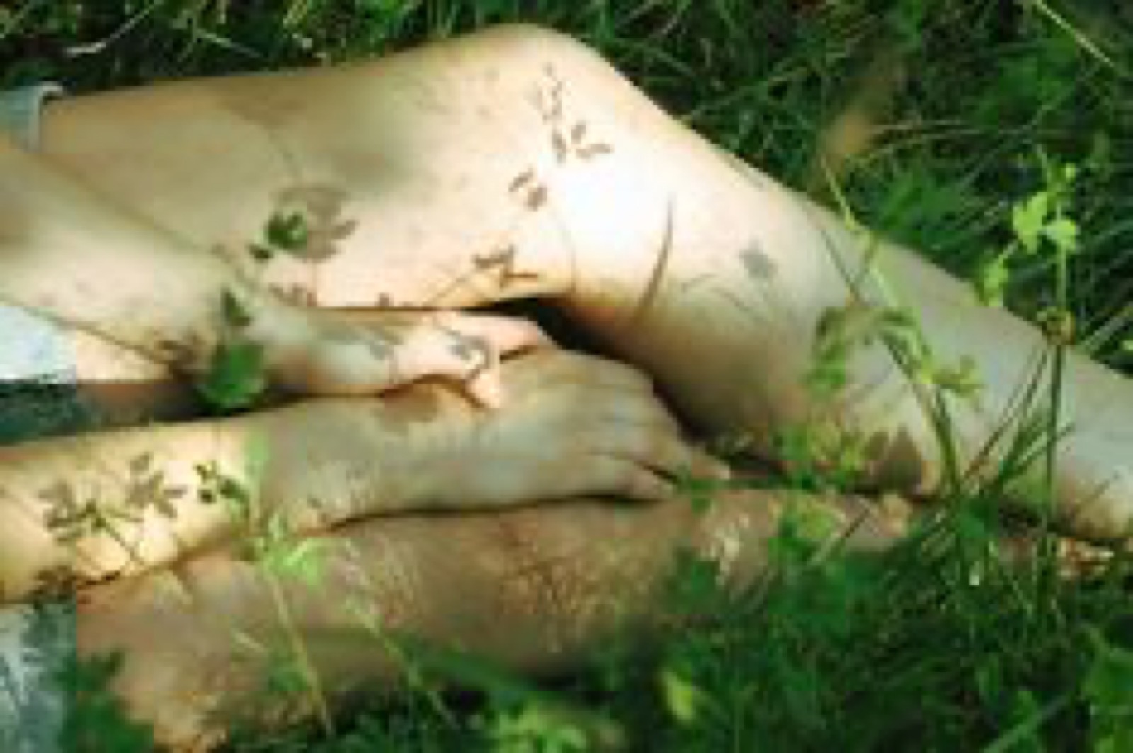 Nežni cveti — lepota u sitnicama