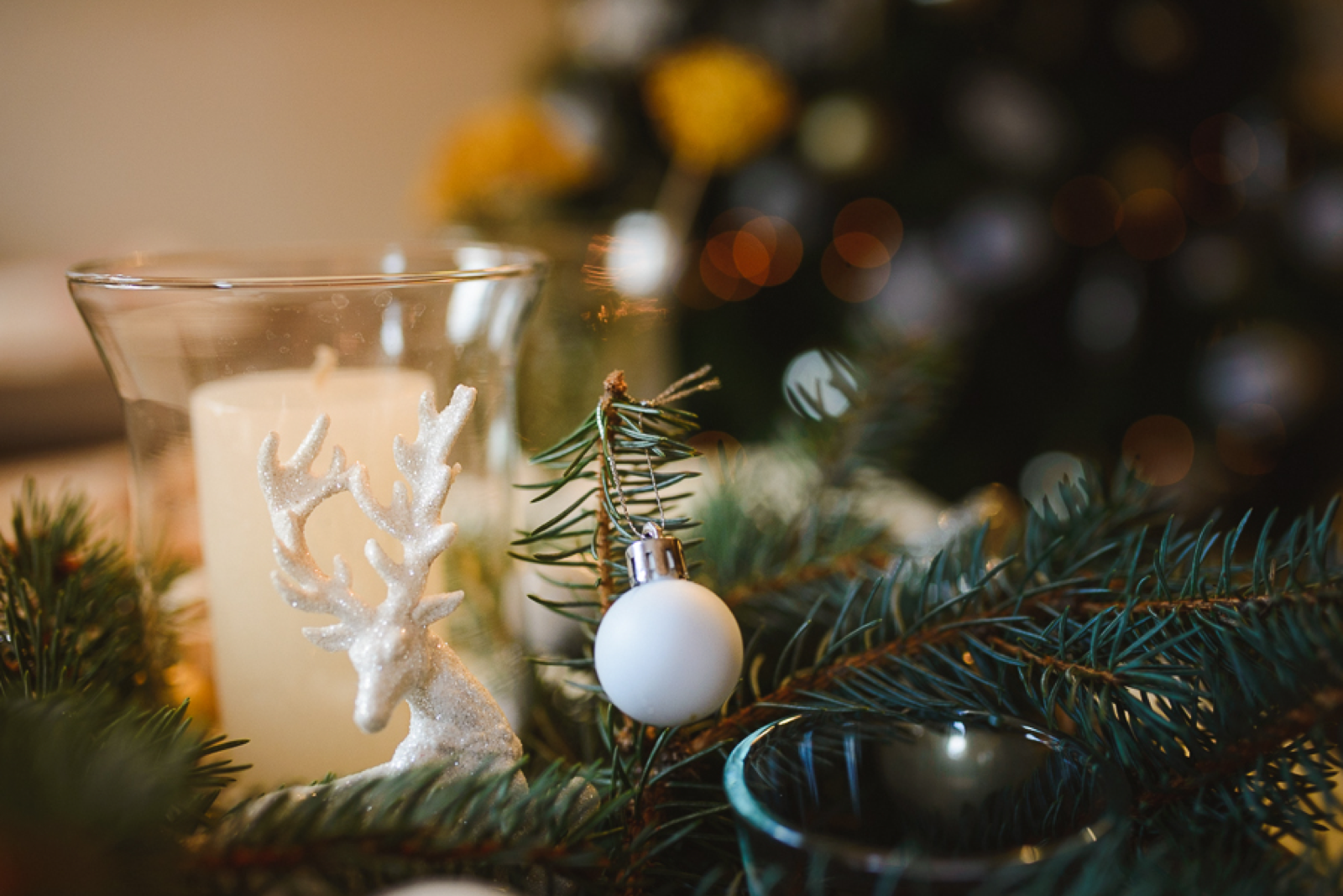 Praznično veče sa Ivanom Ivanovićem