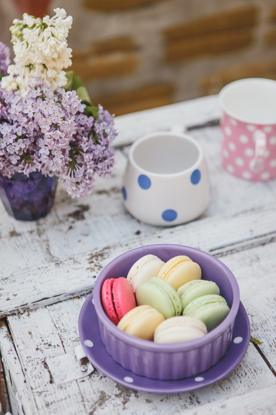 Bašta detalji img-06