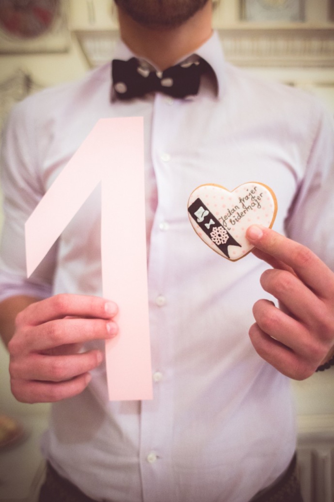 Ekipa i prijatelji u finalnom kadru proslave