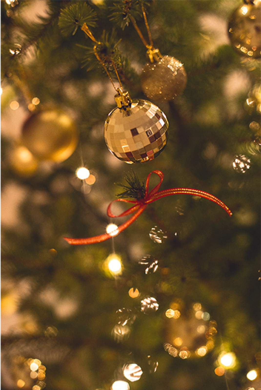 Buduća mama - pun portret