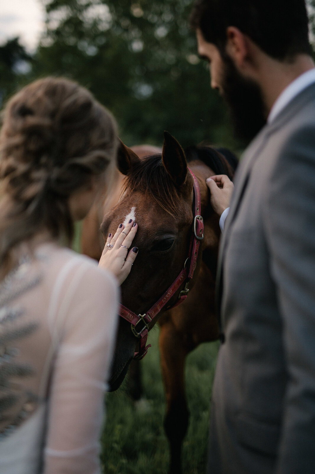 Gosti na venčanju u voćnjaku