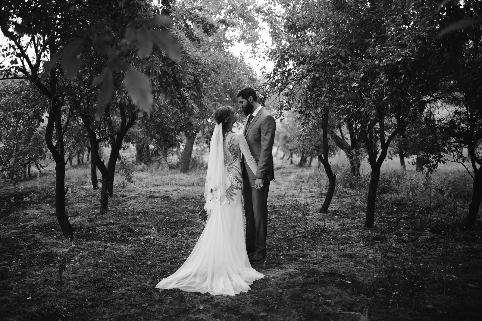 Pogled na voćnjak sa dekoracijom