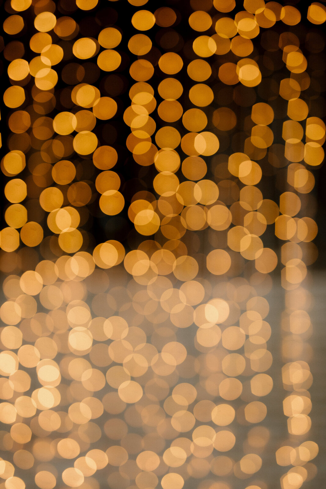 Boris i gosti na prvom plesu