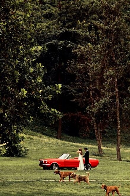 Srpsko-francusko vilinsko venčanje — Nela & Romain