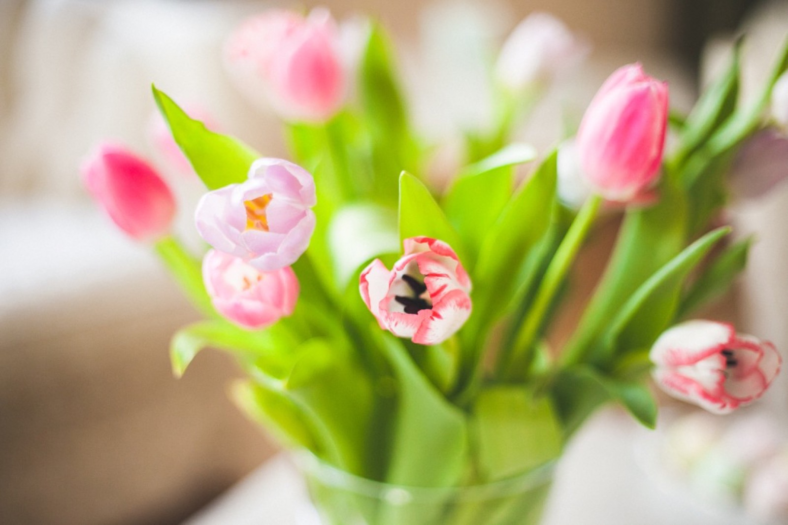 Budoar set — detalji donjeg veša i cvetnih aranžmana