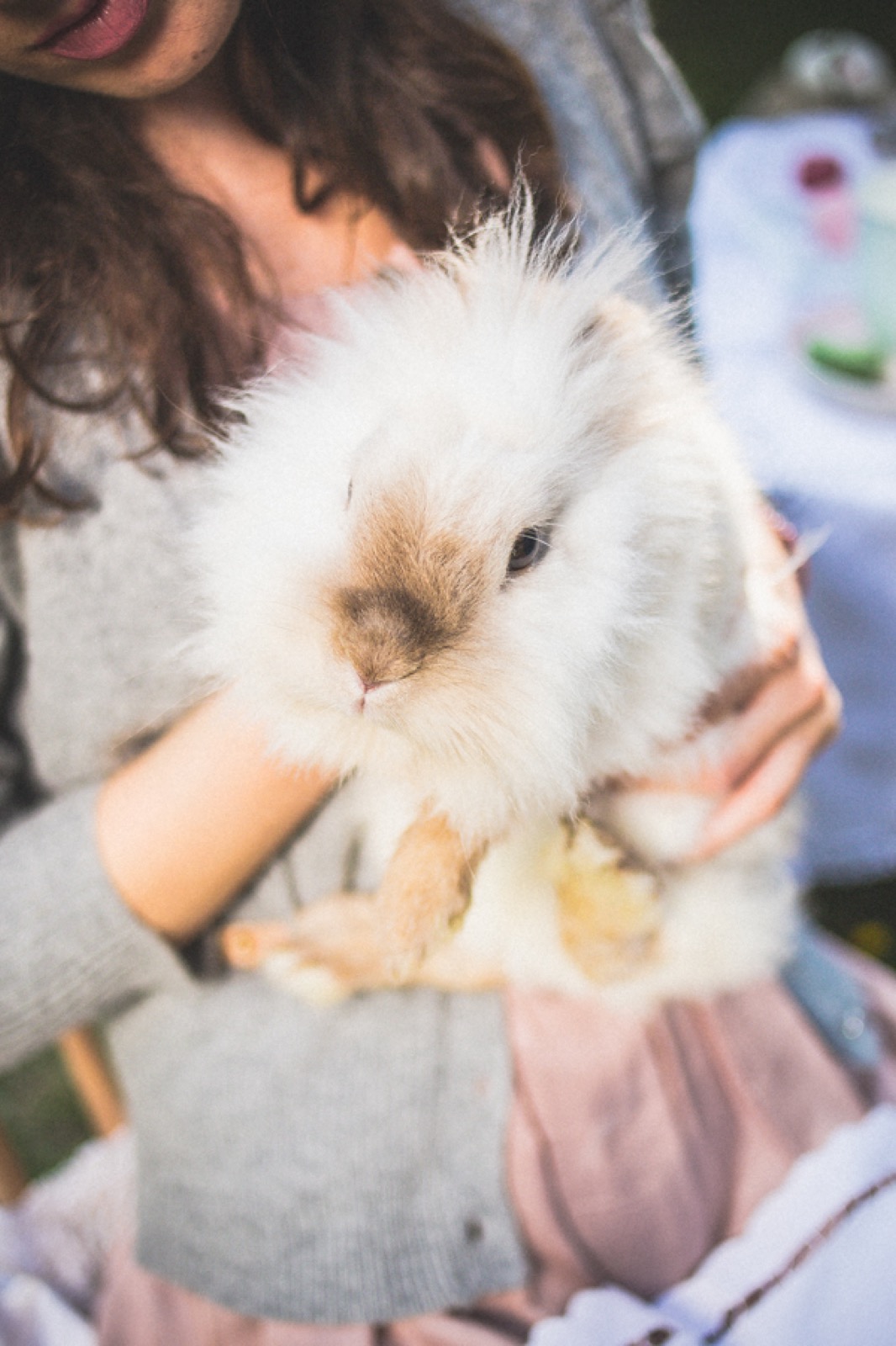 Šarena uskršnja jajca