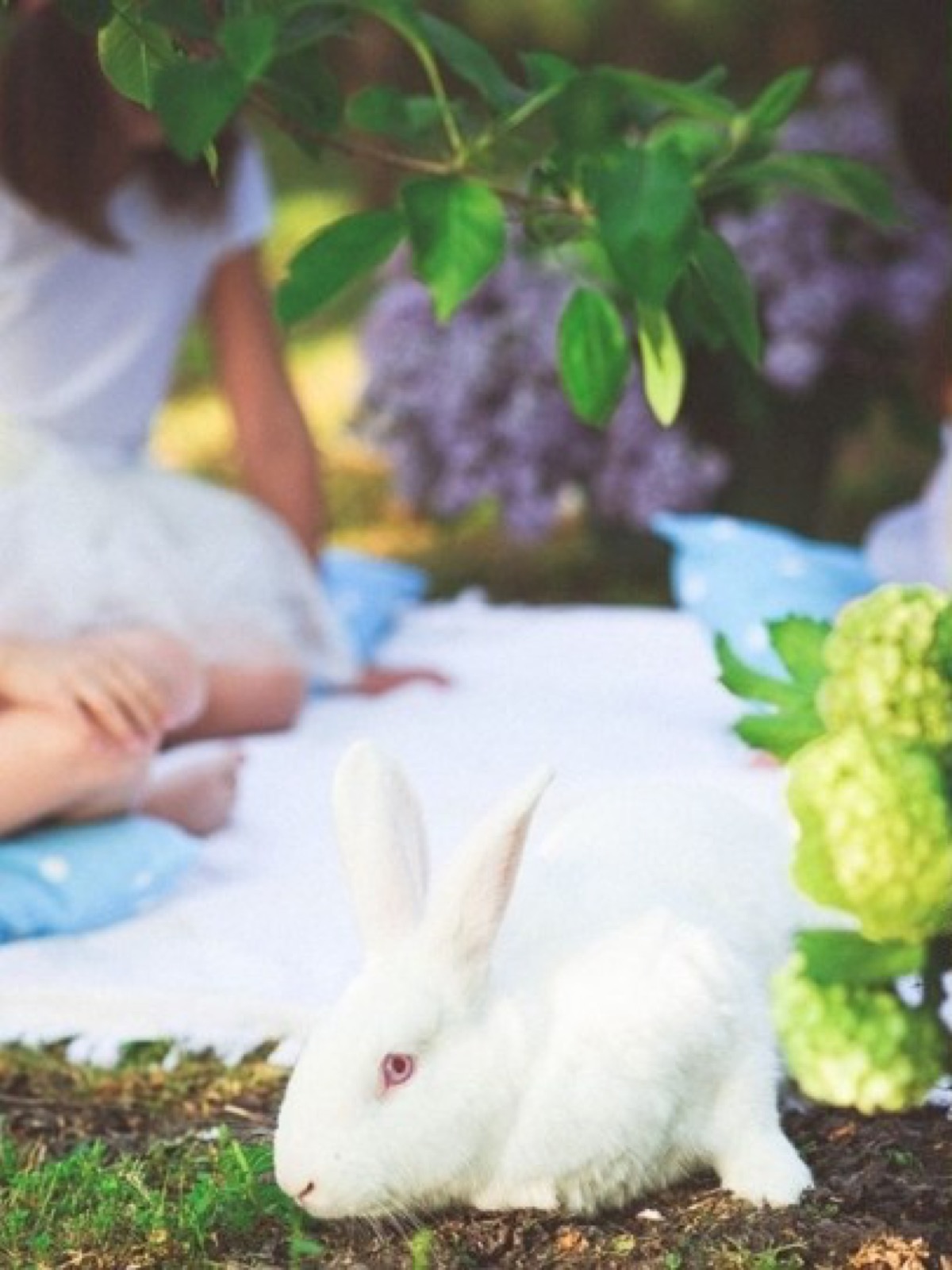 Galerija — scena 14