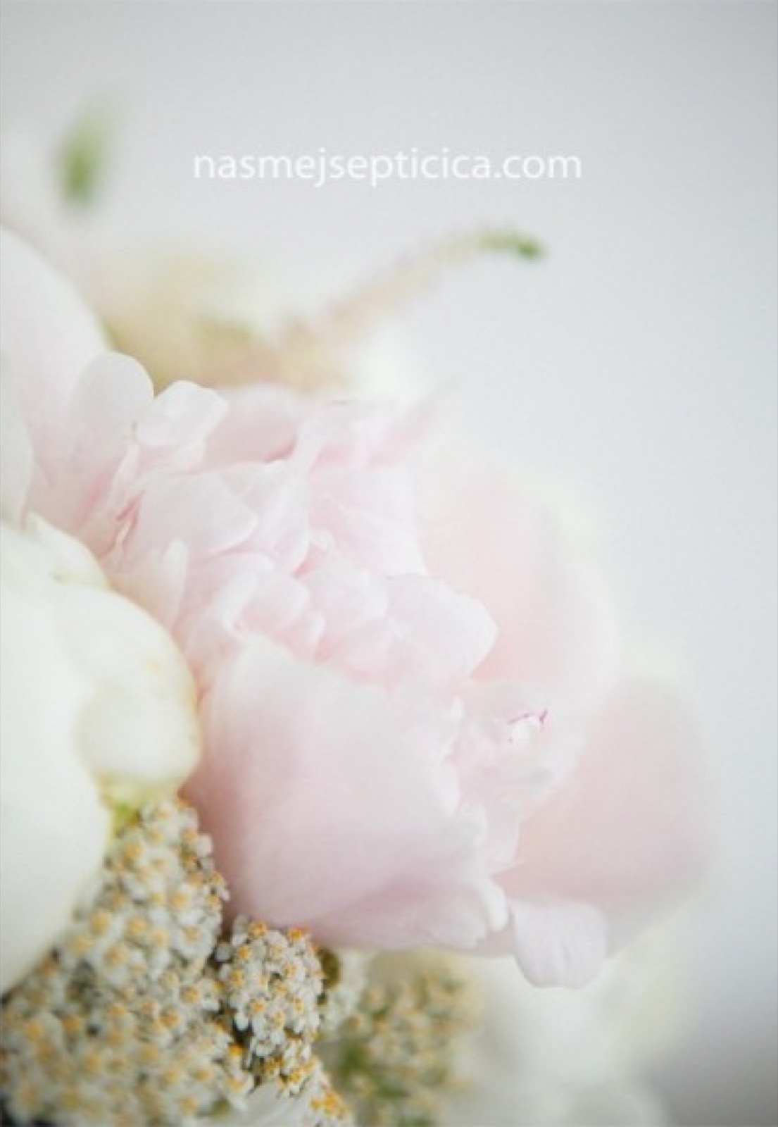 Anka i Aleksandar — portret