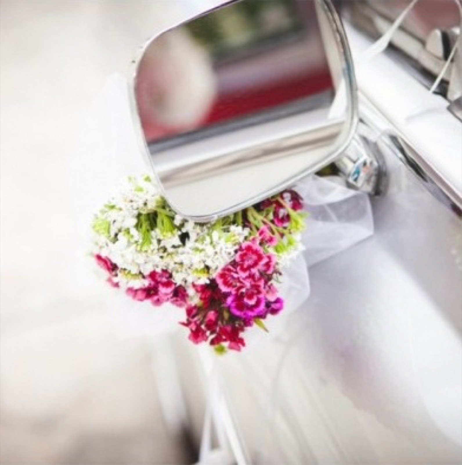 Svadbeni portret sa koferom