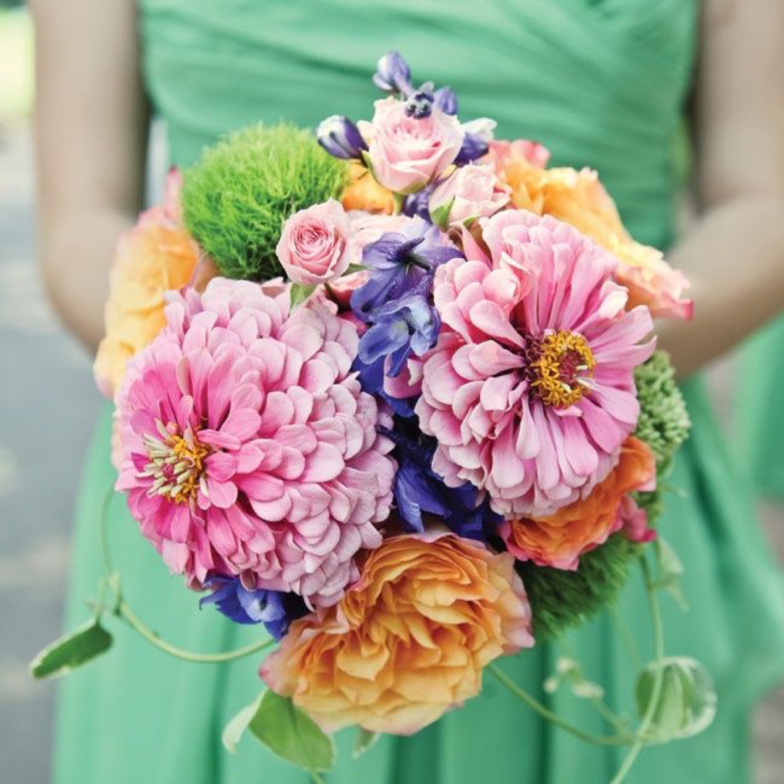 Veseli bidermajeri — Leto u bojama sladoleda