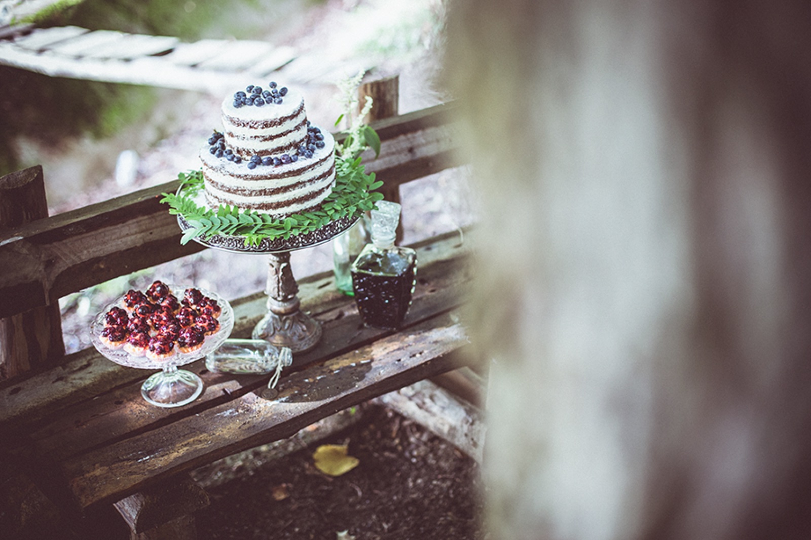 Rustikalni detalj — torta sa bobicama na drvenom stolu u šumi