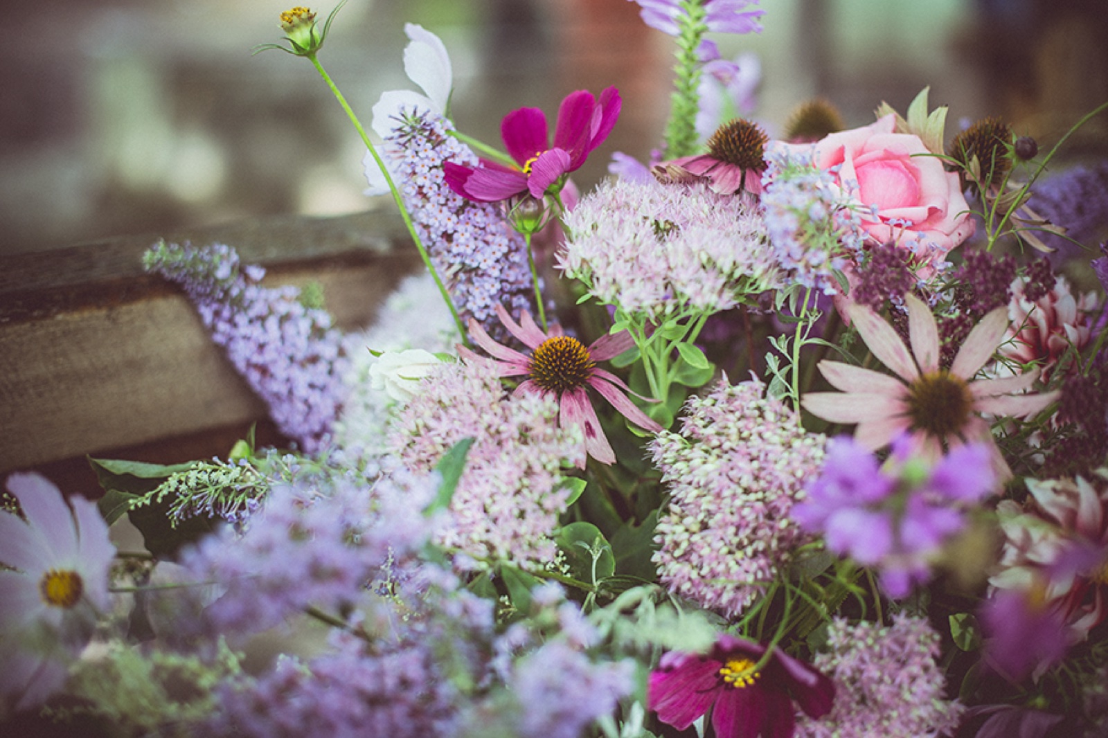 Nevena u vintage paisley haljini — šumska polana, meditativna poza