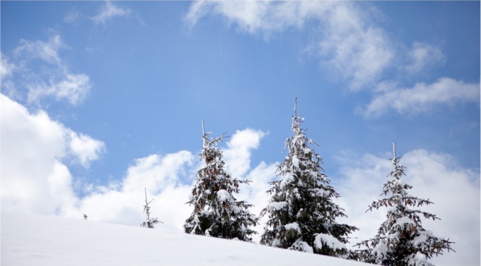 Zimsko venčanje (jutro posle) — Jedan frajer i bidermajer