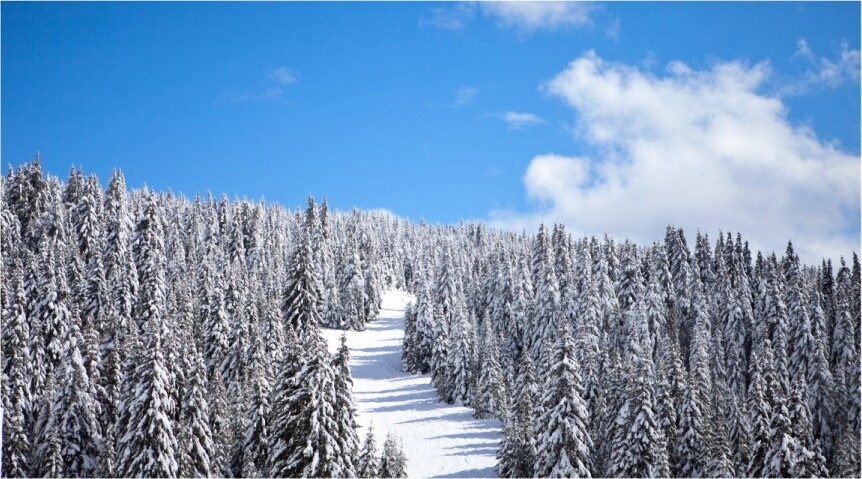 Pogled na zasneženu planinu