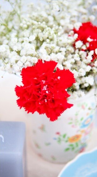 Dekorativni slatkiši za zimsko venčanje