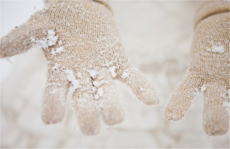 Šetnja kroz zasneženu šumu